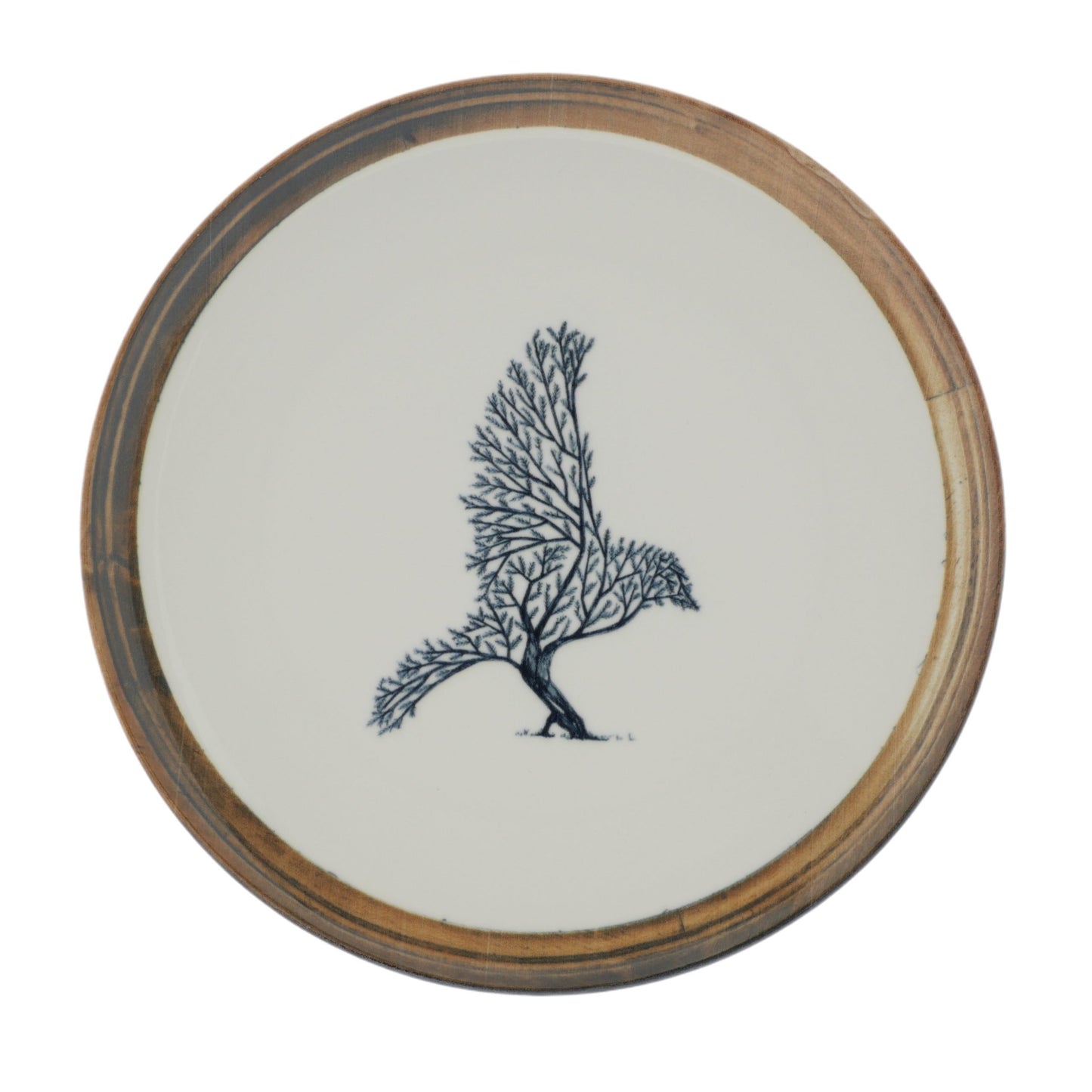 6 ASSIETTES PLATES OISEAUX 26 CM EN PORCELAINE