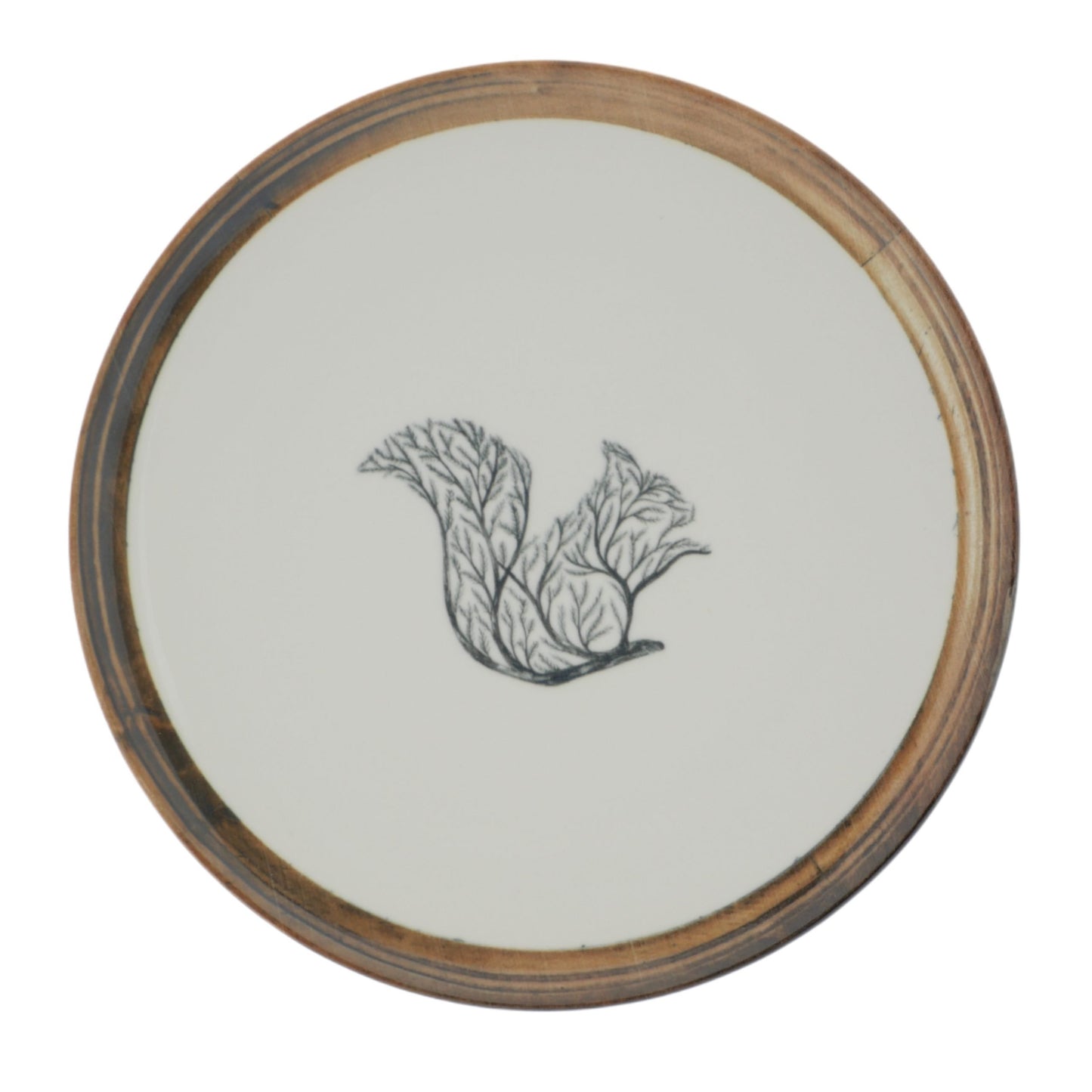 6 ASSIETTES PLATES 26 CM ÉCUREUIL EN PORCELAINE