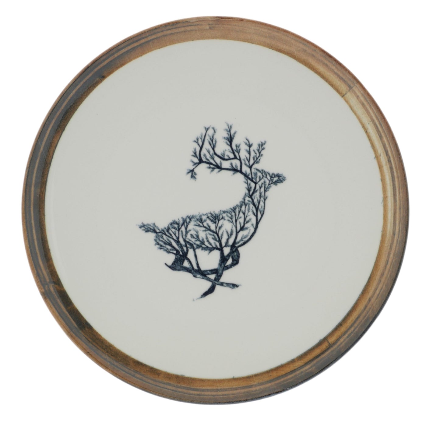 6 ASSIETTES MOTIFS OISEAUX EN PORCELAINE